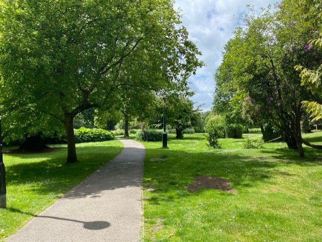 Tree-lined path through Woking Park